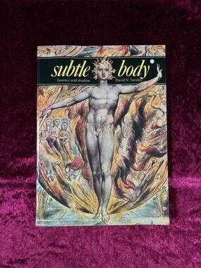 Vintage Paperback Book – The Subtle Body Essence and Shadow David V Tansley 1977